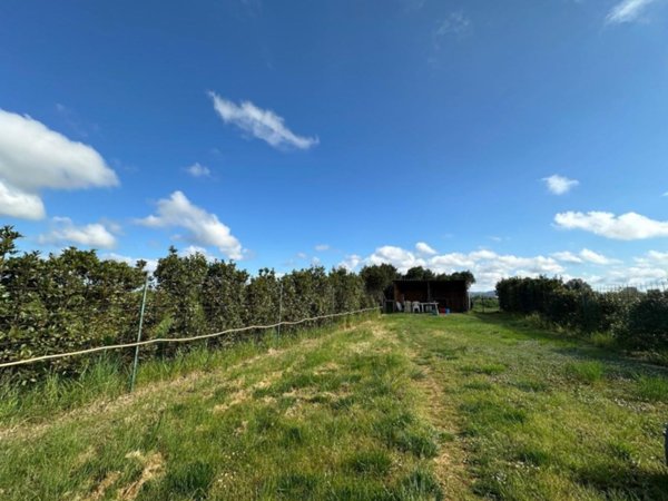 terreno agricolo in vendita a Campiglia Marittima in zona Venturina