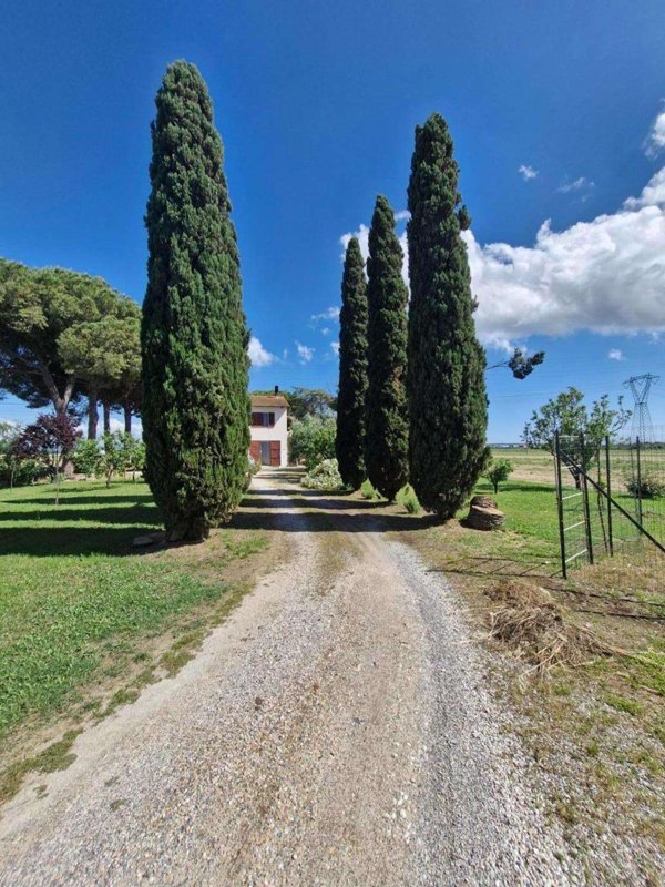 intera palazzina in vendita a Campiglia Marittima in zona Venturina