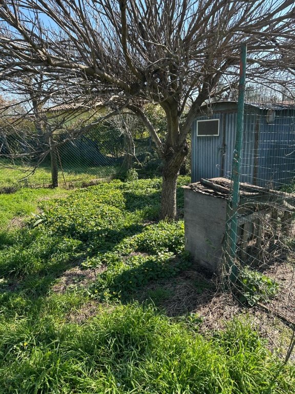 terreno agricolo in vendita a Campiglia Marittima in zona Venturina