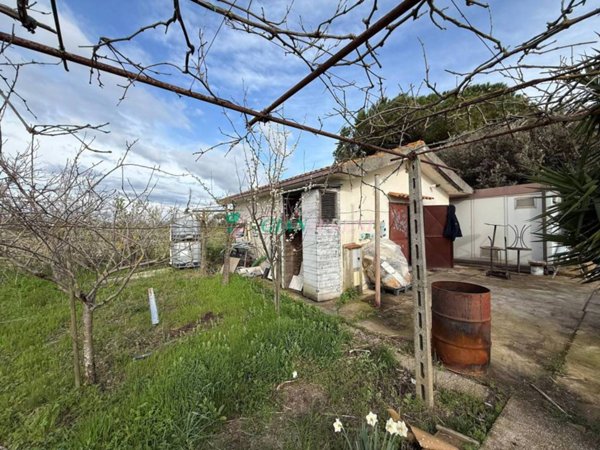 terreno agricolo in vendita a Campiglia Marittima in zona Venturina