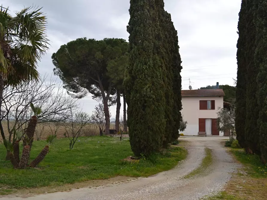 casa indipendente in vendita a Campiglia Marittima in zona Venturina