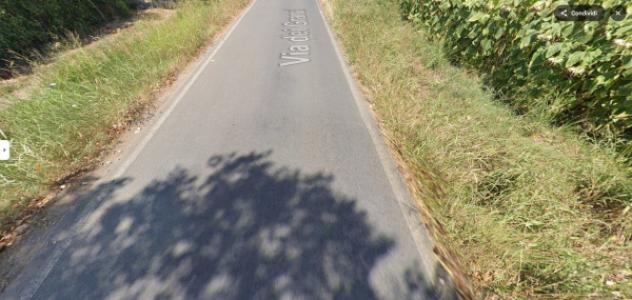 terreno agricolo in vendita a Campiglia Marittima