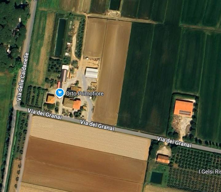 appartamento in vendita a Campiglia Marittima
