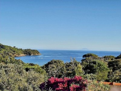 casa indipendente in vendita a Campiglia Marittima