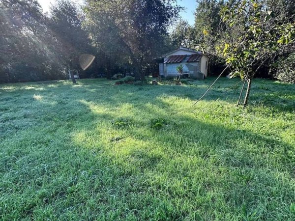 casa semindipendente in vendita a Campiglia Marittima