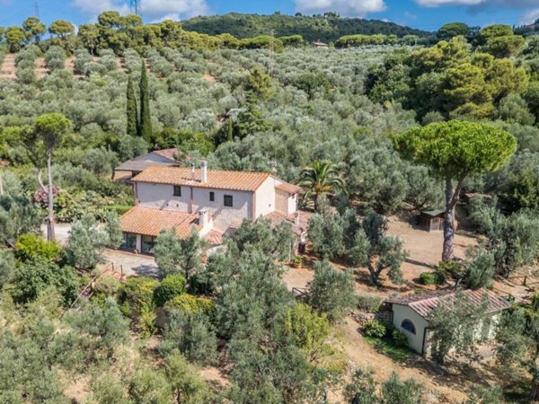 casa indipendente in vendita a Campiglia Marittima