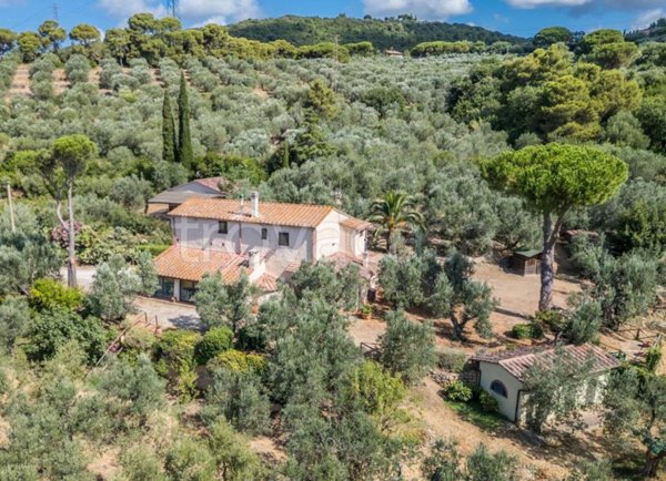 casa indipendente in vendita a Campiglia Marittima in zona Venturina