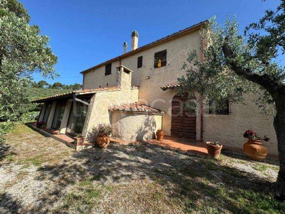 casa indipendente in vendita a Campiglia Marittima