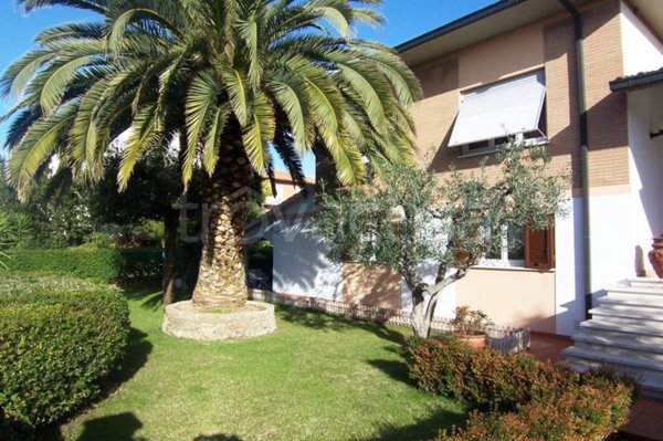 casa indipendente in vendita a Campiglia Marittima in zona Venturina