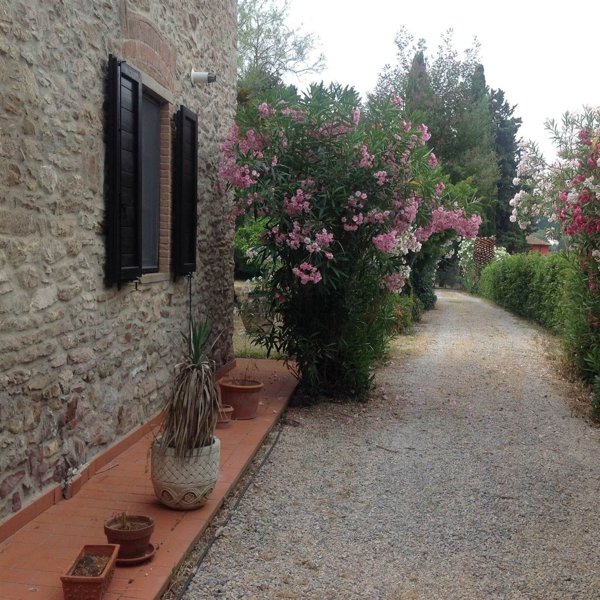 casa indipendente in vendita a Campiglia Marittima in zona Venturina