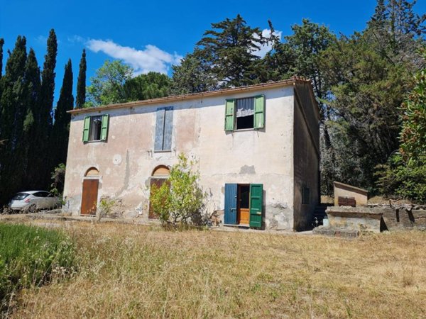 appartamento in vendita a Campiglia Marittima