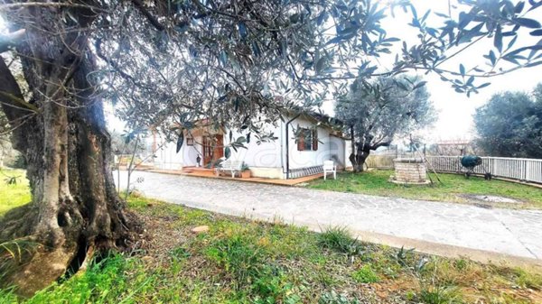 appartamento in vendita a Campiglia Marittima in zona Venturina