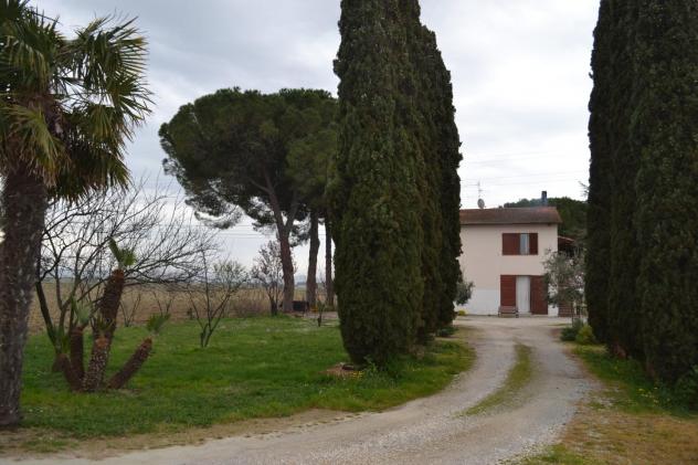 casa indipendente in vendita a Campiglia Marittima in zona Venturina