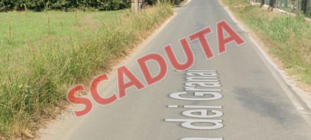 terreno agricolo in vendita a Campiglia Marittima