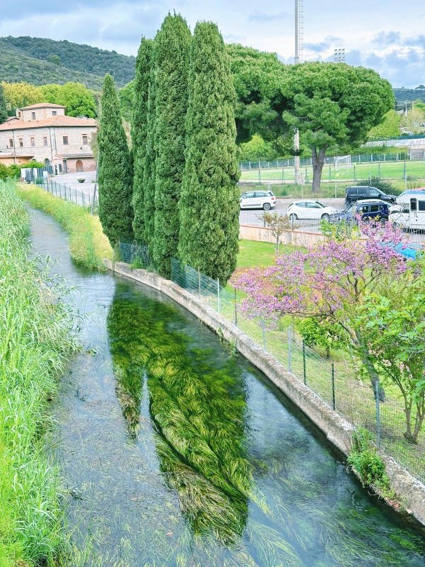 appartamento in vendita a Campiglia Marittima in zona Venturina
