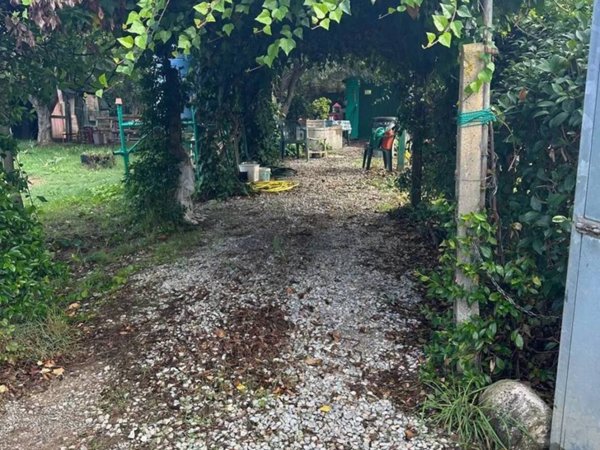 terreno agricolo in vendita a Campiglia Marittima