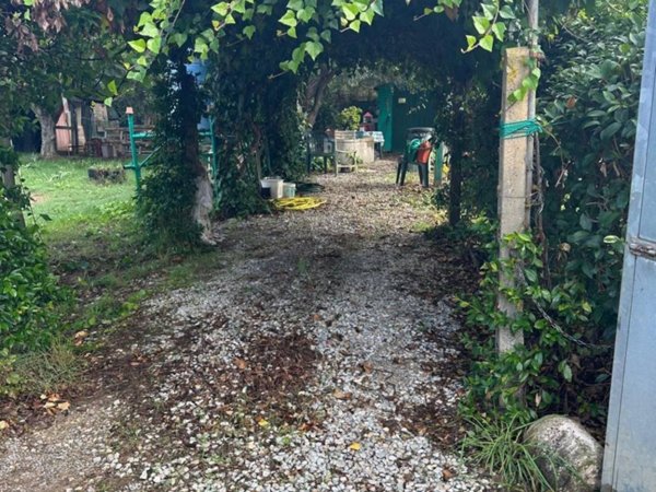 terreno agricolo in vendita a Campiglia Marittima