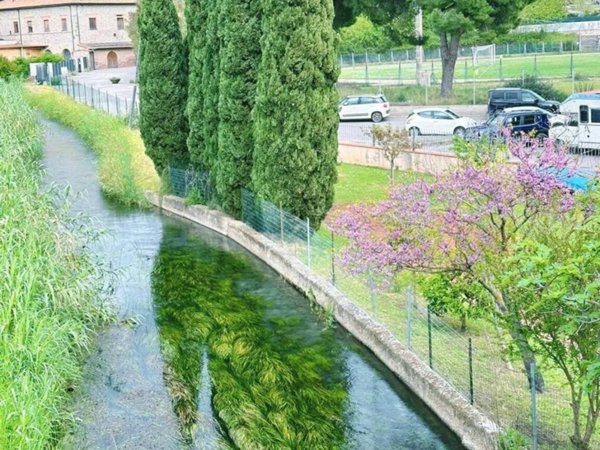 appartamento in vendita a Campiglia Marittima in zona Venturina