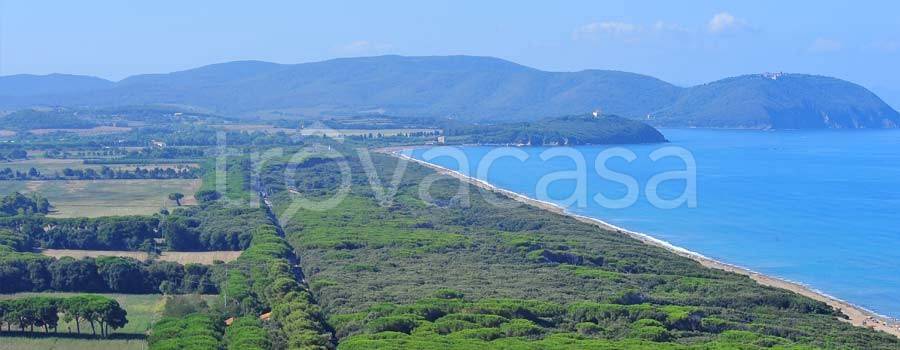 terreno agricolo in vendita a Campiglia Marittima
