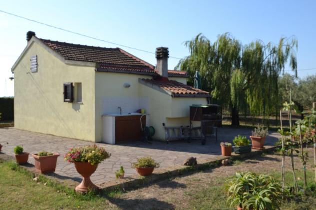 appartamento in vendita a Campiglia Marittima