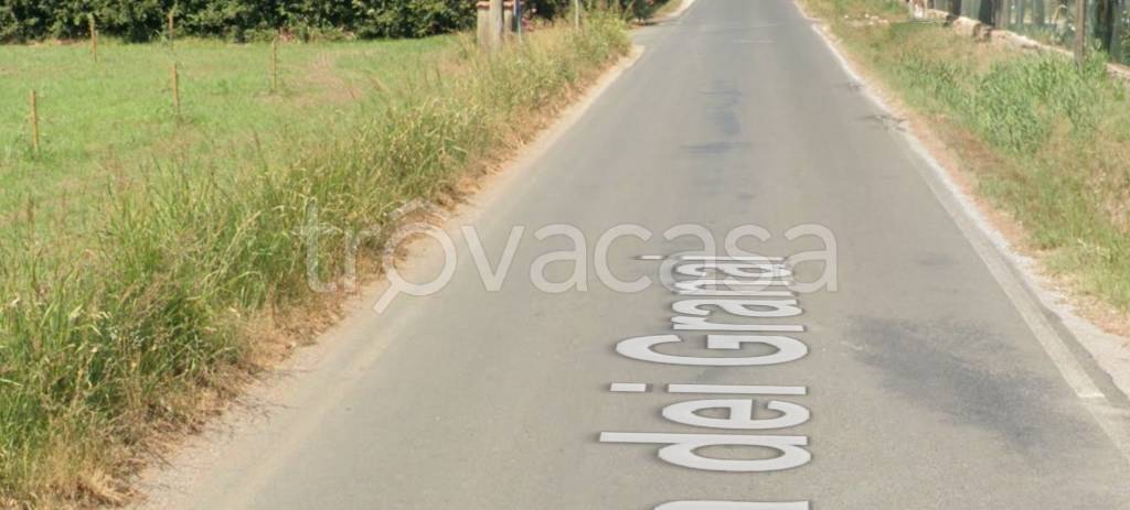 terreno agricolo in vendita a Campiglia Marittima