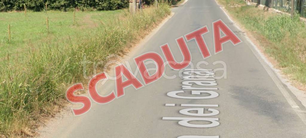 terreno agricolo in vendita a Campiglia Marittima