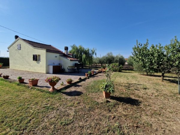 appartamento in vendita a Campiglia Marittima