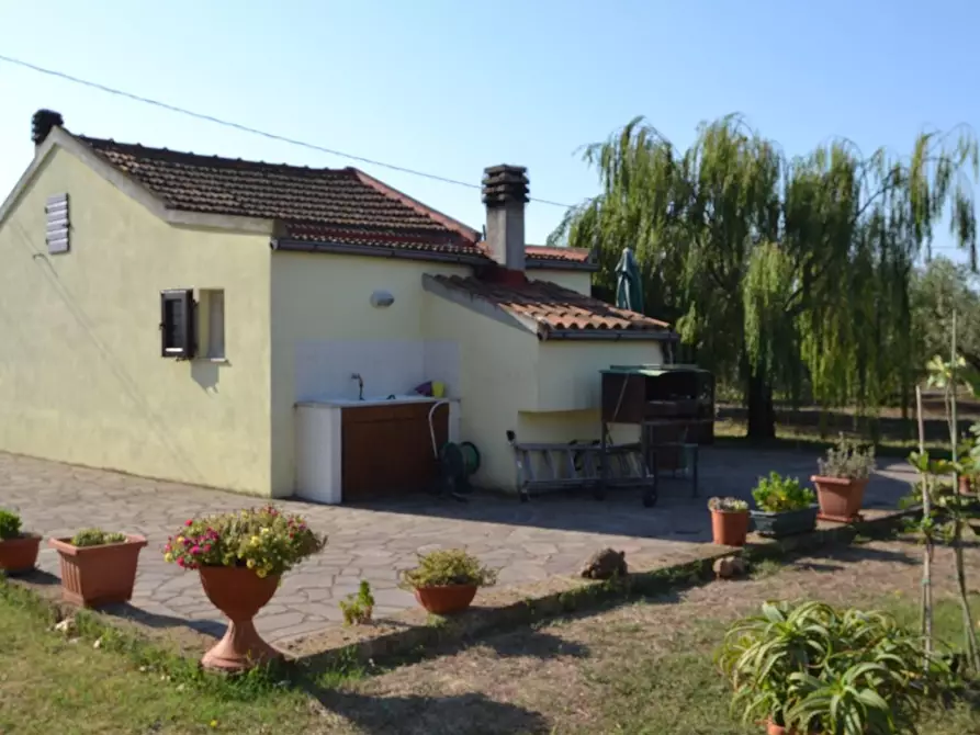 appartamento in vendita a Campiglia Marittima