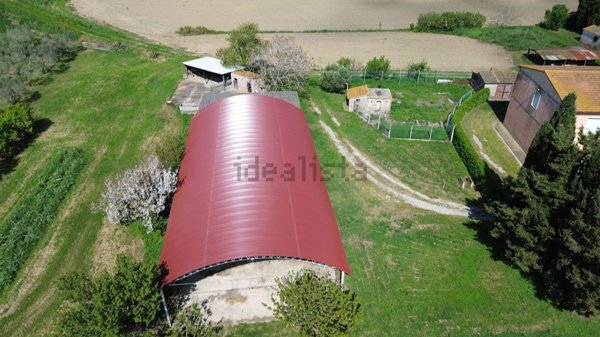 azienda agricola in vendita a Campiglia Marittima