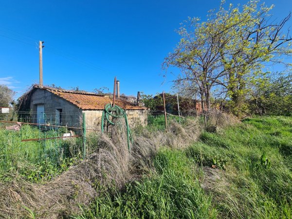 terreno agricolo in vendita a Campiglia Marittima in zona Venturina