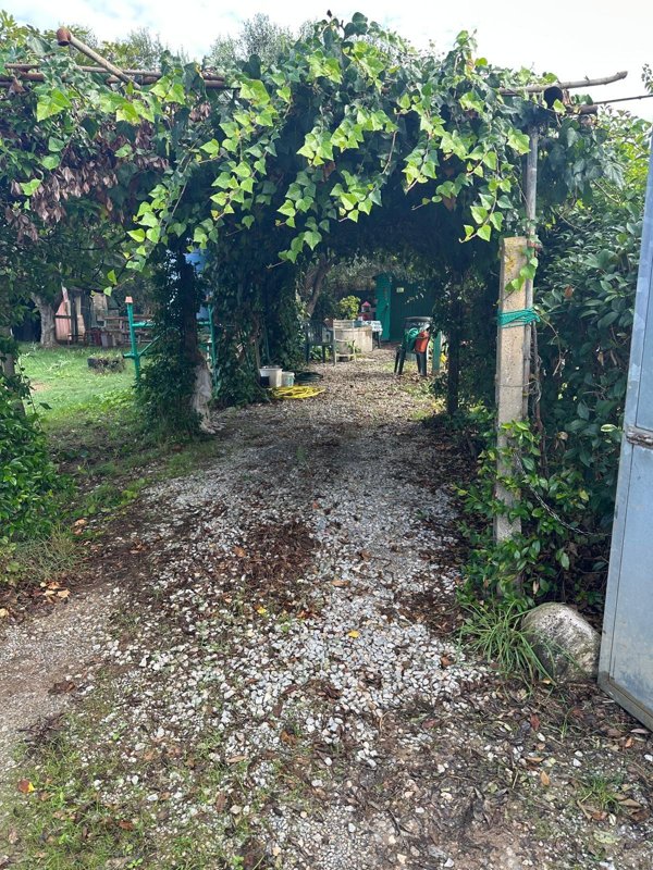 terreno agricolo in vendita a Campiglia Marittima in zona Venturina