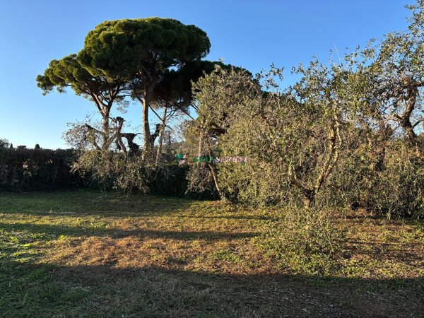 terreno agricolo in vendita a Campiglia Marittima in zona Venturina
