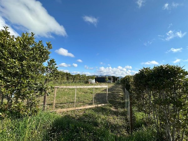 terreno agricolo in vendita a Campiglia Marittima in zona Venturina