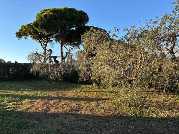 terreno agricolo in vendita a Campiglia Marittima in zona Venturina