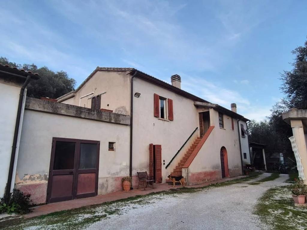 appartamento in vendita a Campiglia Marittima