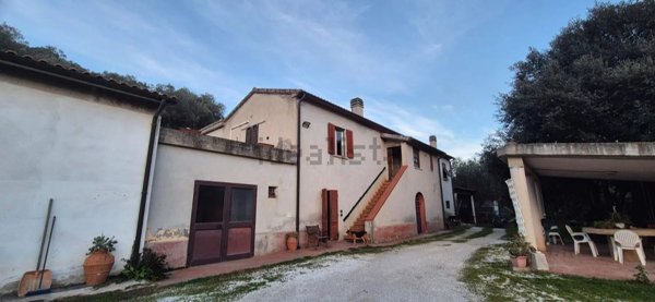 appartamento in vendita a Campiglia Marittima