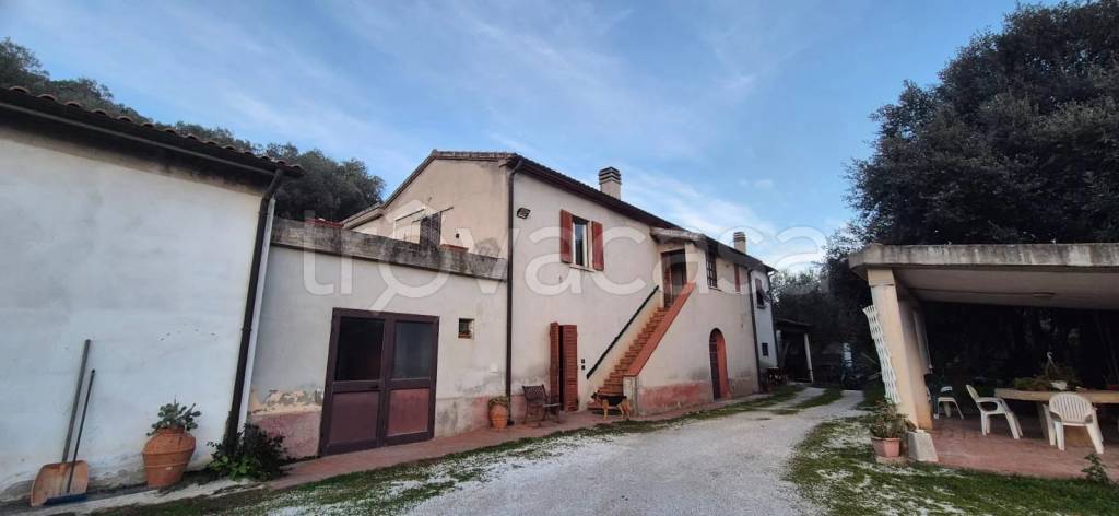 appartamento in vendita a Campiglia Marittima