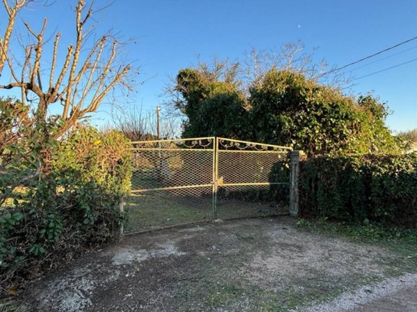 terreno agricolo in vendita a Campiglia Marittima in zona Venturina
