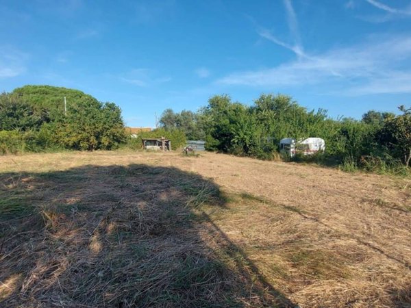 terreno agricolo in vendita a Campiglia Marittima in zona Venturina