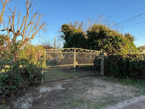 terreno agricolo in vendita a Campiglia Marittima in zona Venturina