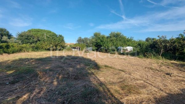 terreno agricolo in vendita a Campiglia Marittima in zona Venturina