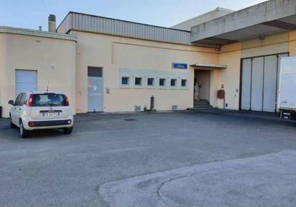 locale di sgombero in vendita a Campiglia Marittima