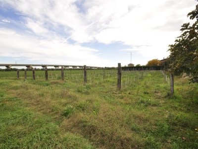 terreno agricolo in vendita a Campiglia Marittima in zona Venturina
