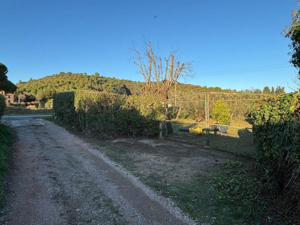 terreno agricolo in vendita a Campiglia Marittima in zona Venturina