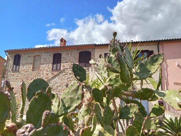 appartamento in vendita a Campiglia Marittima in zona Venturina