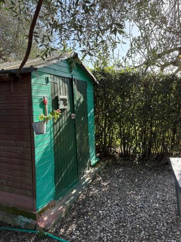 terreno agricolo in vendita a Campiglia Marittima in zona Venturina