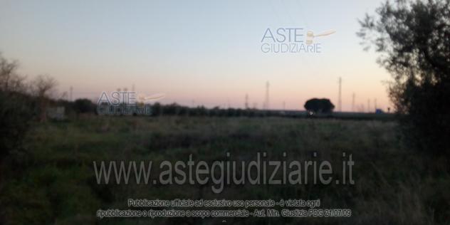 terreno agricolo in vendita a Campiglia Marittima