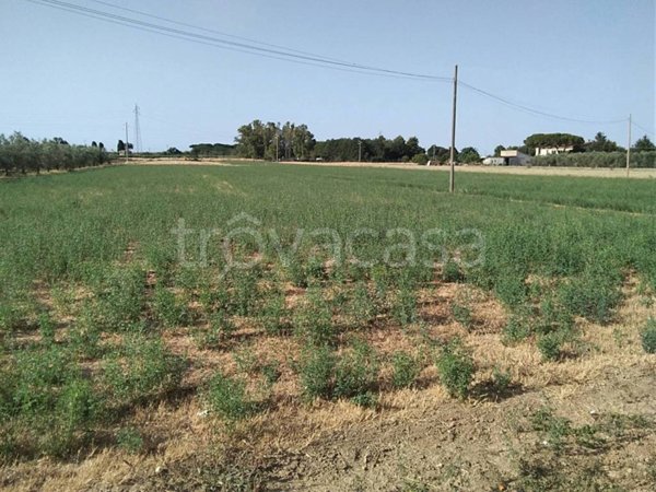 negozio in vendita a Campiglia Marittima in zona Venturina