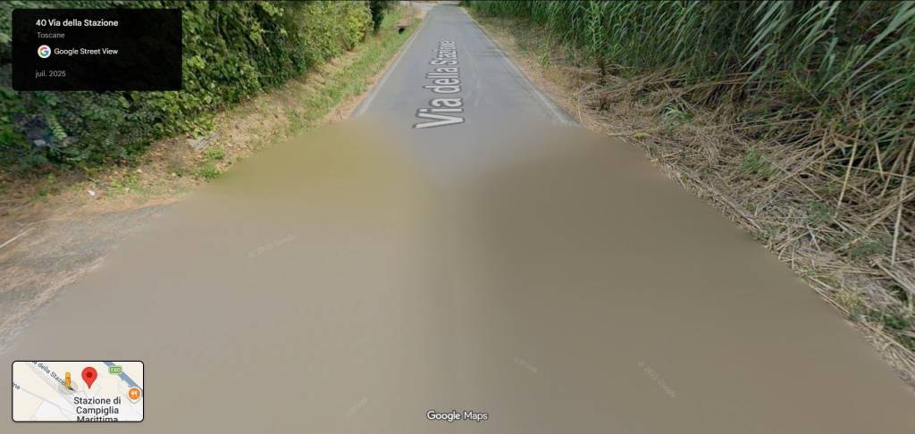 terreno agricolo in vendita a Campiglia Marittima