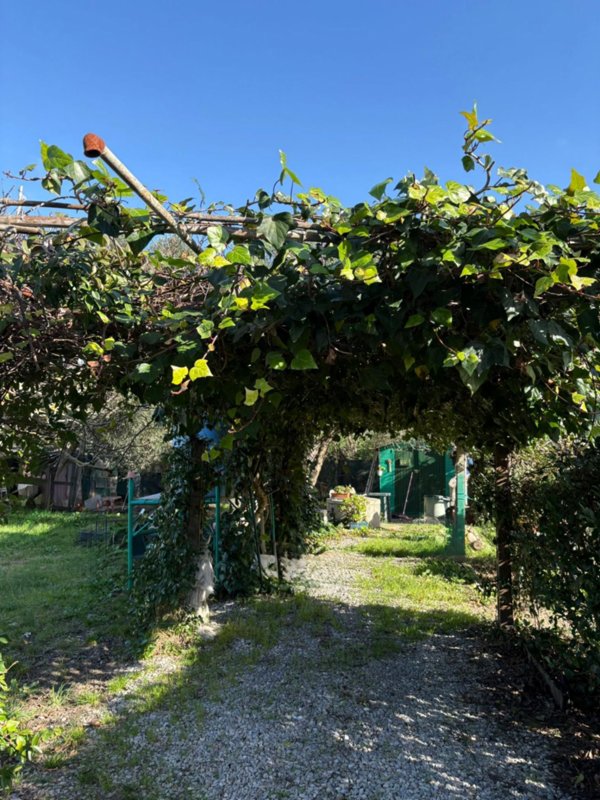 terreno agricolo in vendita a Campiglia Marittima in zona Venturina